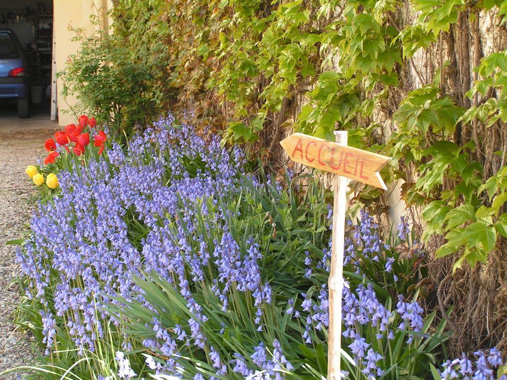 Bed and Breakfast A L'Olivier Montcaret Exterior foto